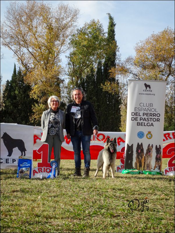 BIS cachorros  Xula De La Canin De As. 